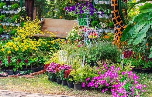 I nostri consigli per la decorazione del giardino I nostri consigli per la decorazione del giardino