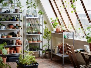 idea giardino verticale