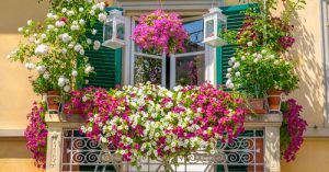 Mini giardino in terrazzo: 5 idee per crearlo