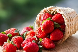 Come coltivare le fragole sul balcone o sulla finestra