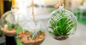 Decorare un giardino piccolo: ecco le nostre idee