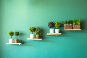 Come decorare la casa con murali botanici
