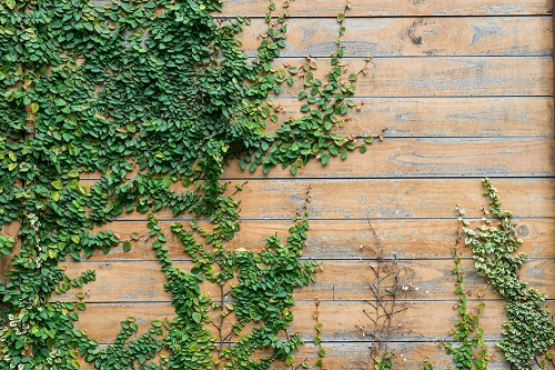 predisporre la terrazza per l'estate
