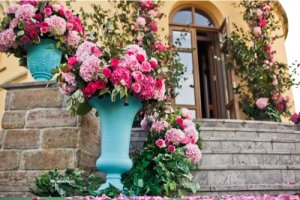 Consigli per avere un roseto perfetto
