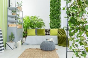 La manutenzione di un giardino verticale