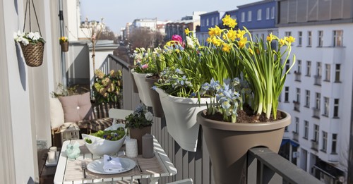 Vasi di piante su balcone