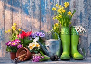 4 consigli per curare il giardino d'estate