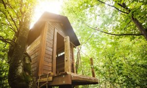 Casette sugli alberi per i vostri figli: ecco come costruirle