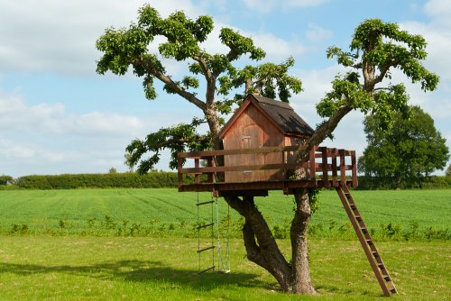 Costruire una casa sull 39 albero per i bambini ecco 5 modi for Kit per costruire casa sull albero