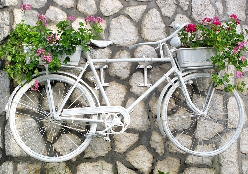 Una bicicletta fiorera appesa a un muro