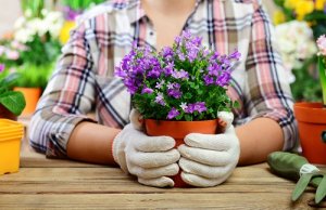 Come decorare i vasi con le pietre