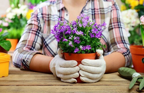 Come decorare i vasi con le pietre