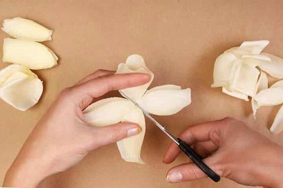 tagliare i petali di un fiore