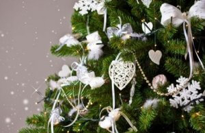 Come scegliere l'albero di Natale perfetto?