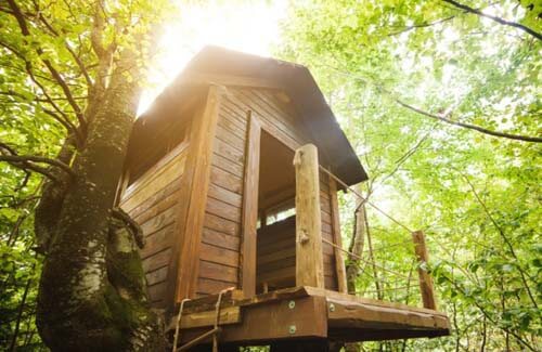 Dovete decorare la casa sull'albero