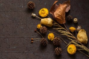 Composizioni floreali: le regole base