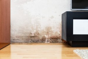 Problemi di umidità nei muri: come risolverli