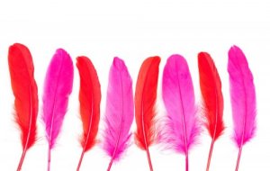 5 idee per decorazioni fai-da-te con le piume