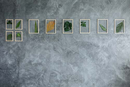 Foglie di piante tropicale dentro piccoli quadri
