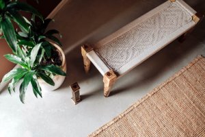 Piante naturali o artificiali: come scegliere quelle giuste?