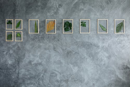 quadri in stile tropicale