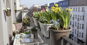diverse tipologie di vasi pensili per il balcone