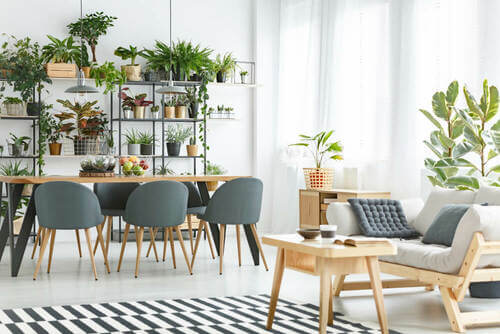 Sala da pranzo floreale