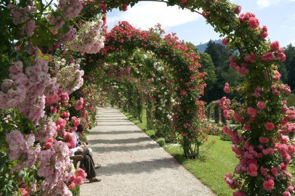 Ambientazioni paesaggistiche con archi floreali