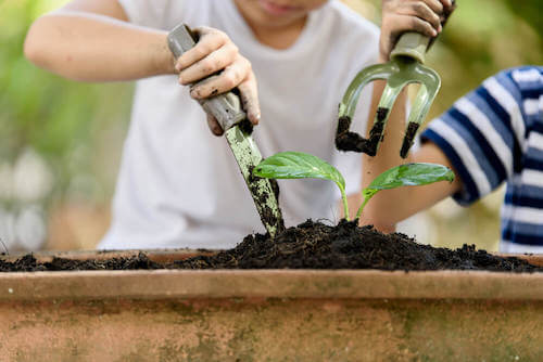attrezzi per coltivare il proprio orto