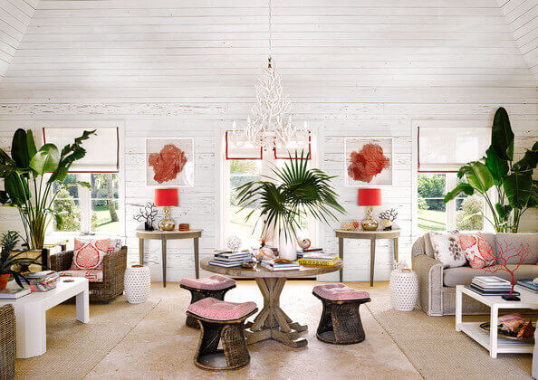 Alessandra Branca: i colori