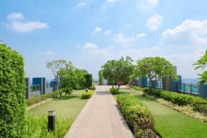 Tetto verde: tutto quello che c'è da sapere