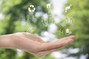 Arredamento ecosostenibile per un pianeta migliore