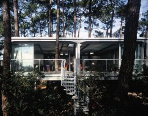 La casa Cap Ferret, natura all'interno delle mura di casa
