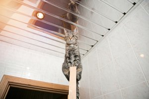 3 modi per decorare il soffitto con gli specchi