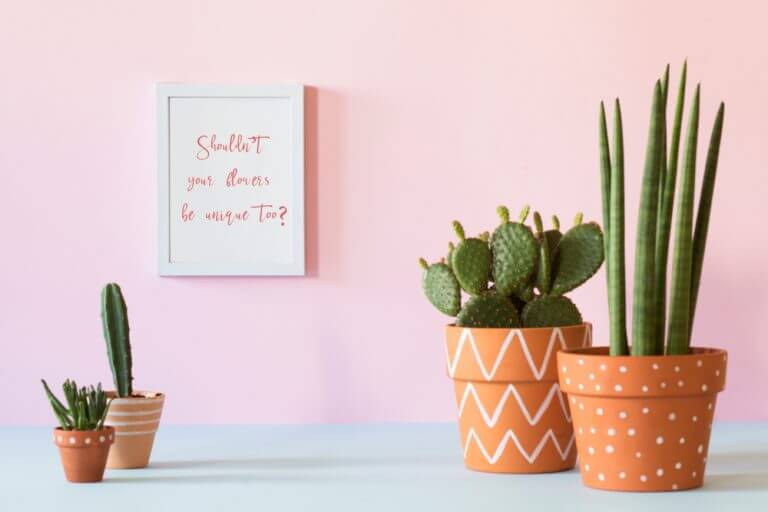 Vasi di argilla su sfondo rosa