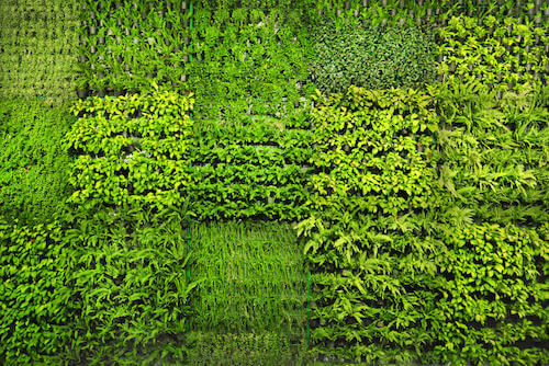 muro con fioriere e aiuole