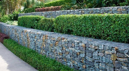 muro con gabbioni e piante