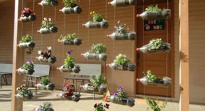 Giardino verticale nelle bottiglie di plastica