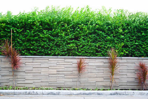 muro di recinzione giardino