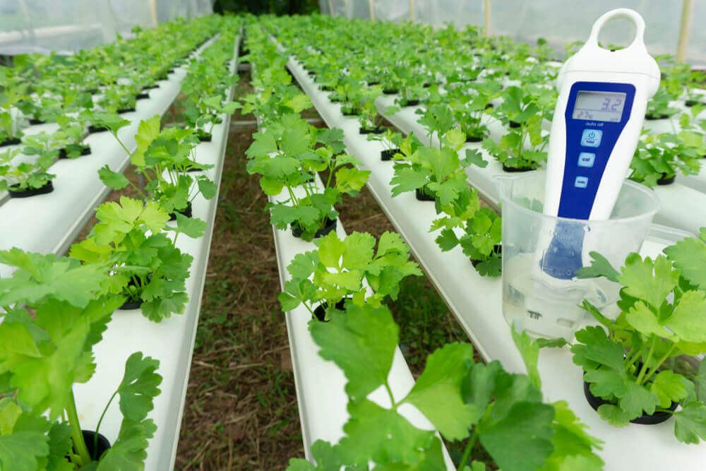 Temperatura e umidità