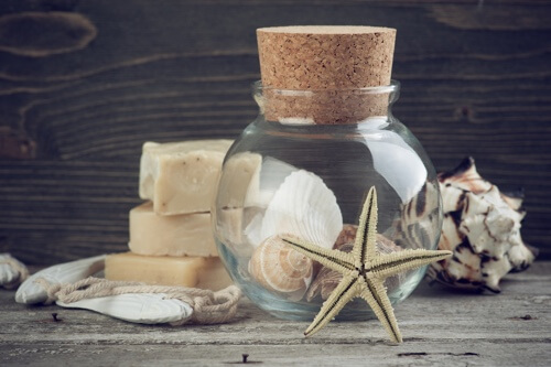 Collezioni di conchiglie