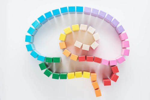 Organizzare il cervello