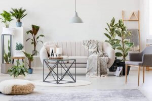 Prendersi cura delle piante: principi di base