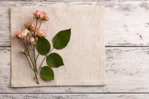 Composizioni di fiori secchi: come crearne di meravigliose
