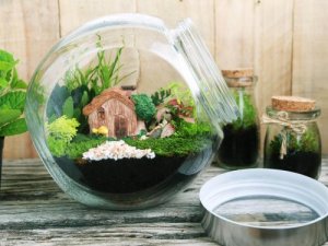 Come realizzare un giardino in bottiglia?