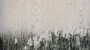 Come togliere le macchie di muffa sul legno