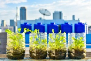 11 idee semplici per utilizzare meno plastica in casa