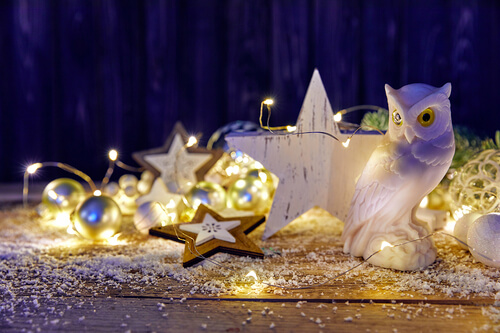 Luci di Natale gufo