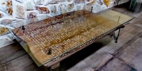 attrezzi agricoli antichi tavolo in legno e vetro