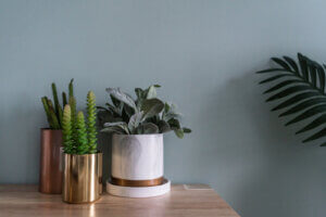 3 bellissimi vasi dal design minimalista